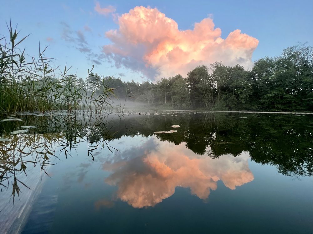 Photograph by Вероника Гасюк