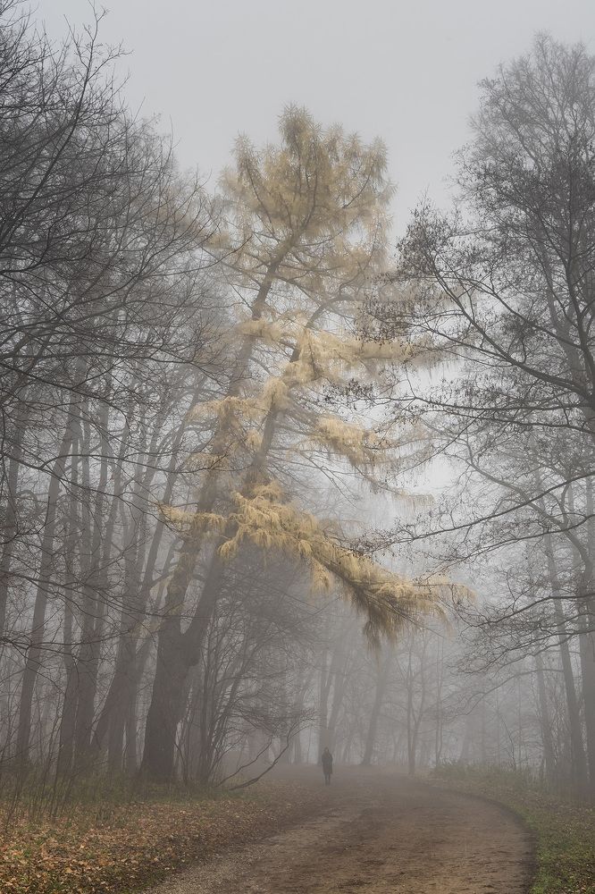 Photograph by Руслан Орлов