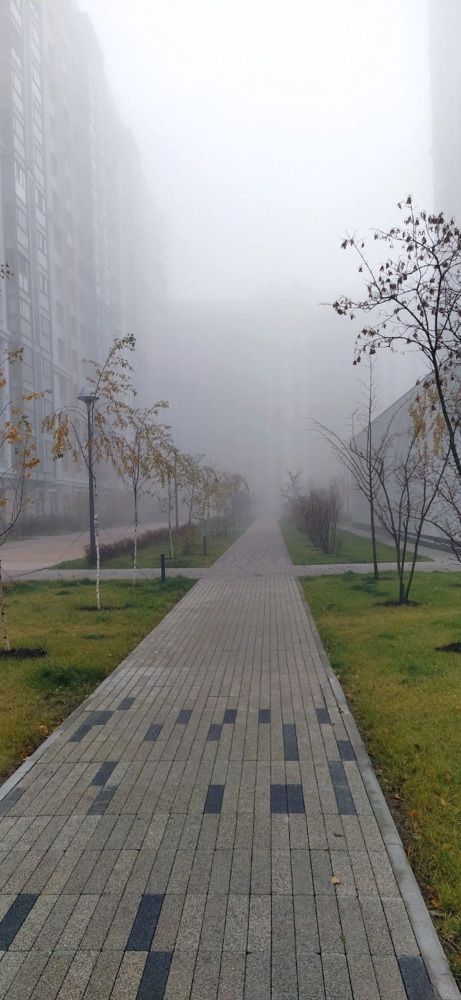 Город в тумане.