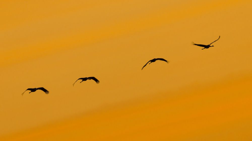 Photograph by Сергей