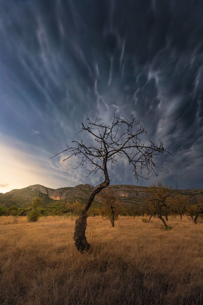 Photograph by Camacho Anto