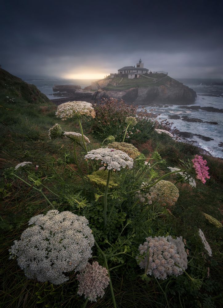 Photograph by Camacho Anto