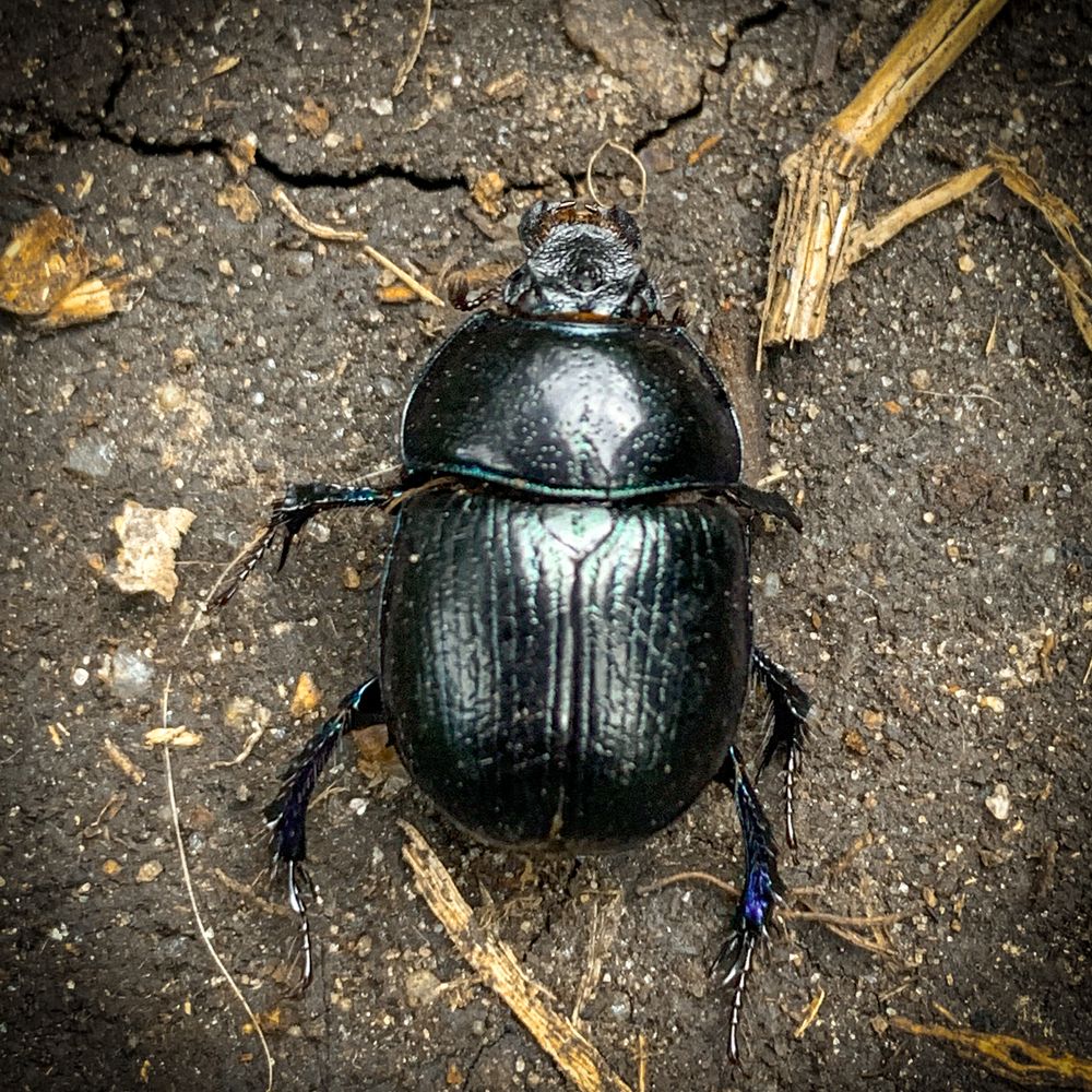 Photograph by Анна Потапова