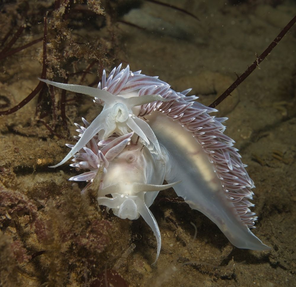 Photograph by Shuo-Wei Chang