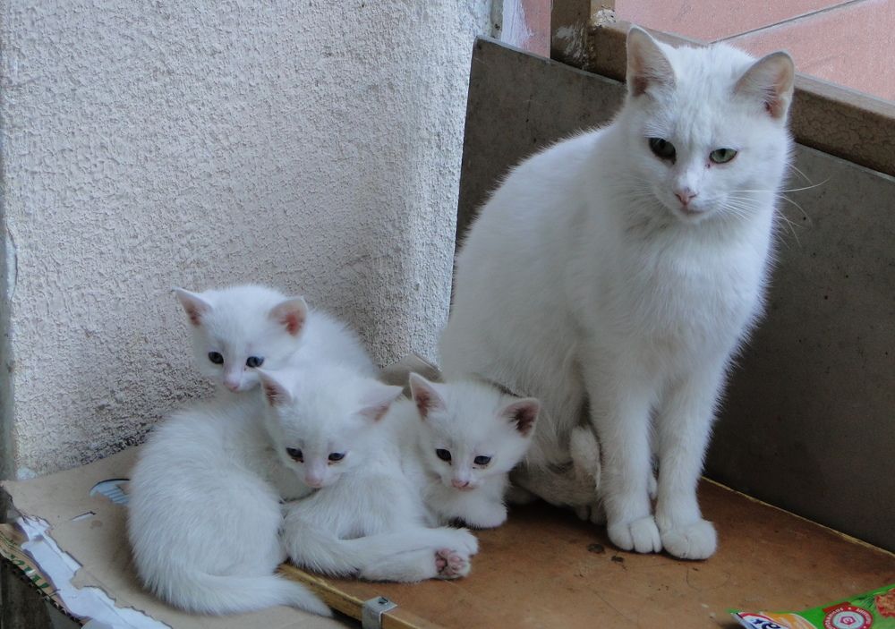 Photograph by Анна Ф