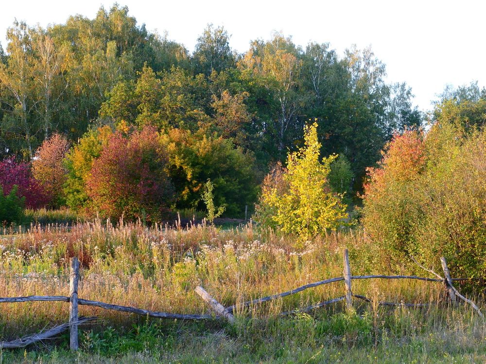 Photograph by Александр Кизим