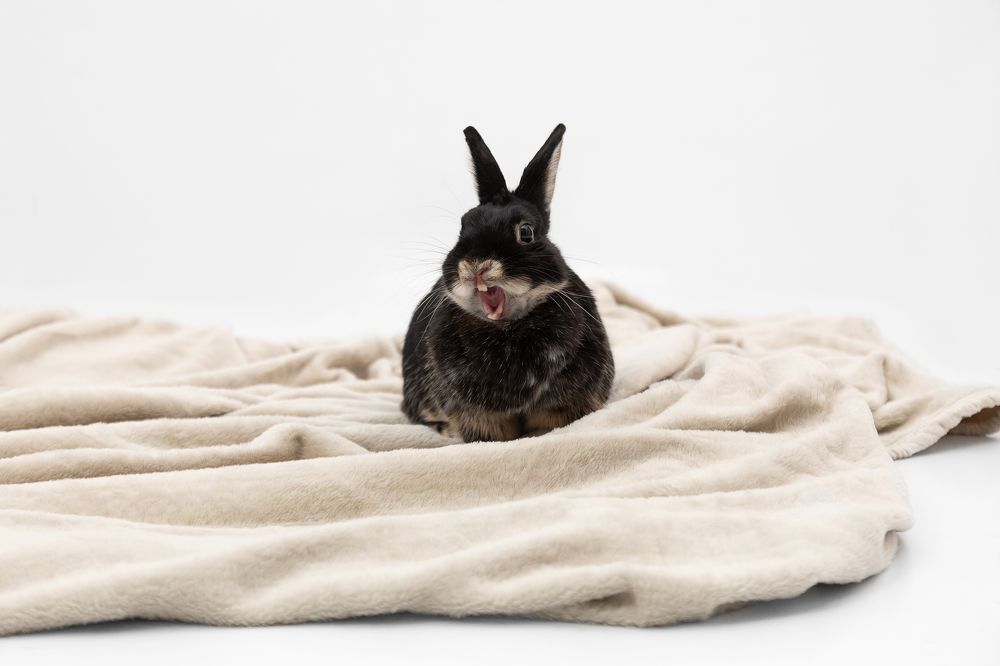 Фотография автора Alicia Mate