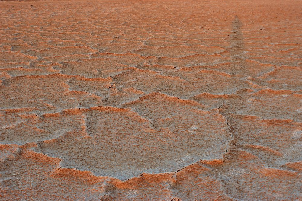 Photograph by Anastasia Kodatenko