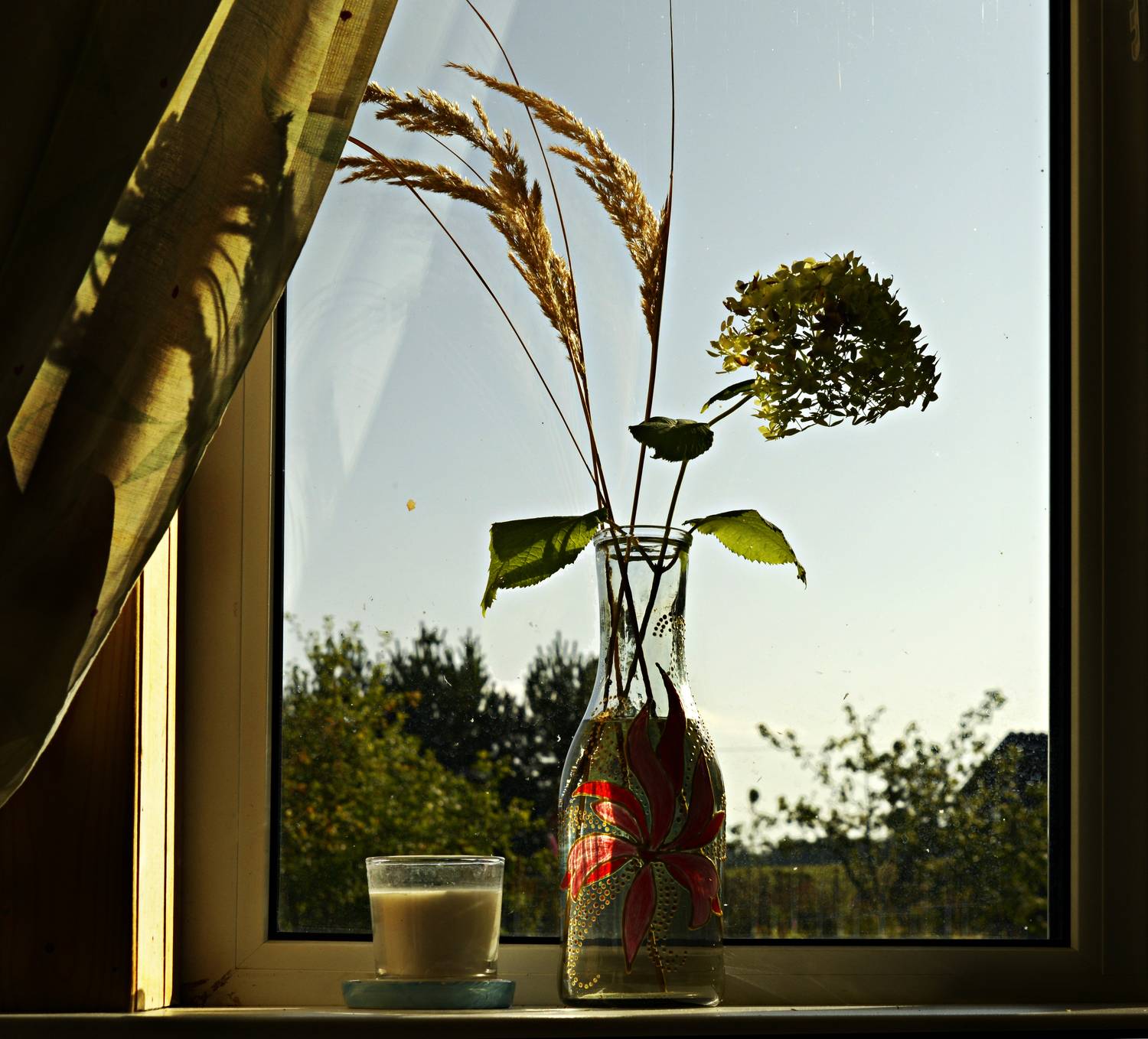 Photo #9506147
