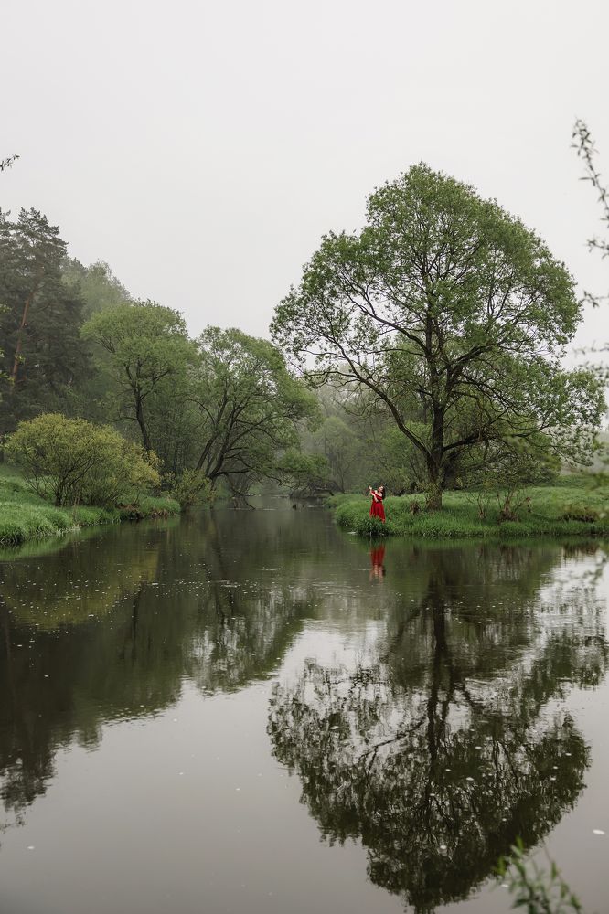 Photograph by Ирина Заргано