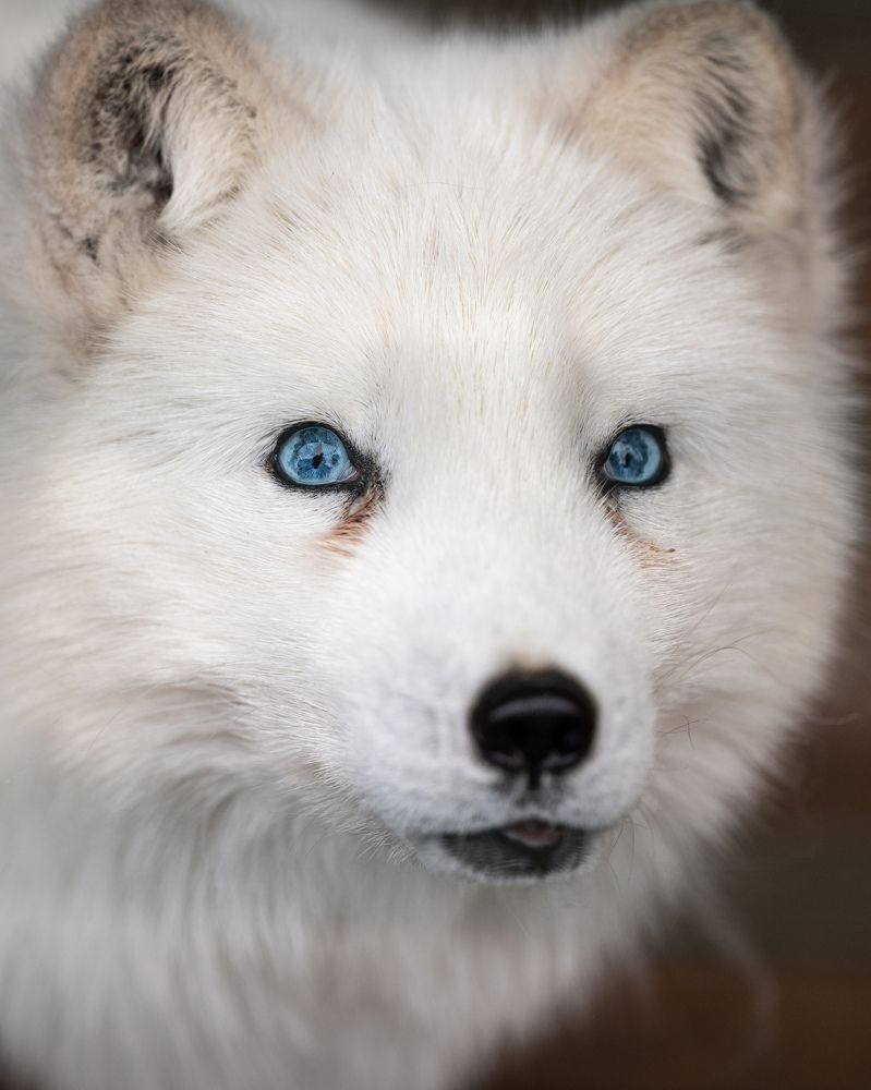 Photograph by Иван Грачев