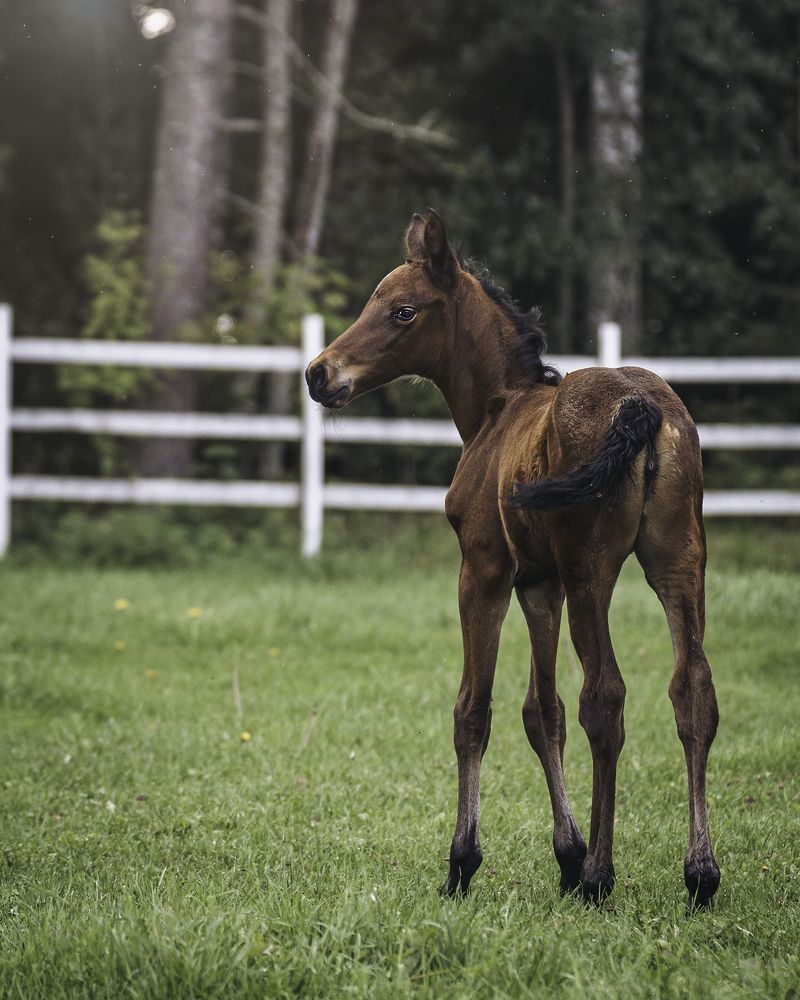Photograph by Anna Sindikayeva