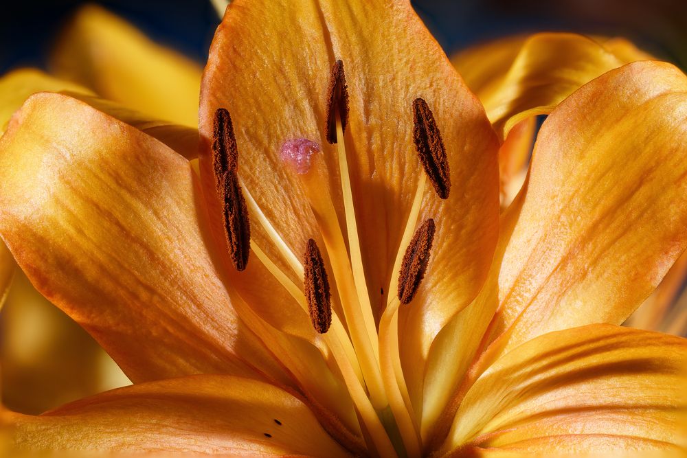 Photograph by Нуждин Андрей