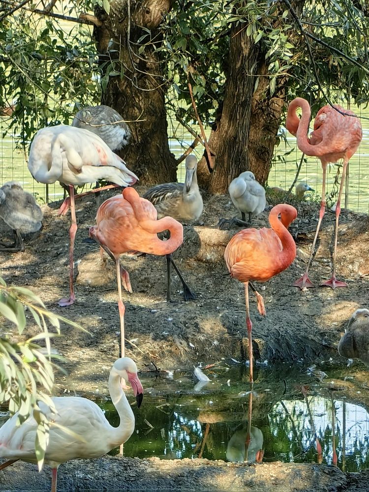 Photograph by Елена Акимова