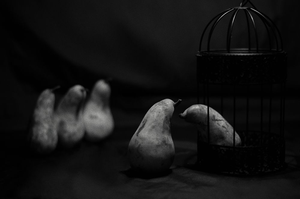 Photograph by Светлана Сафонова