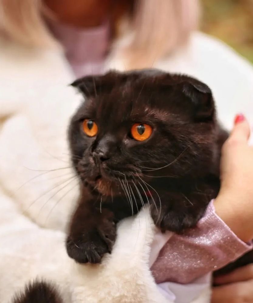 Photograph by Алсу Хусаинова