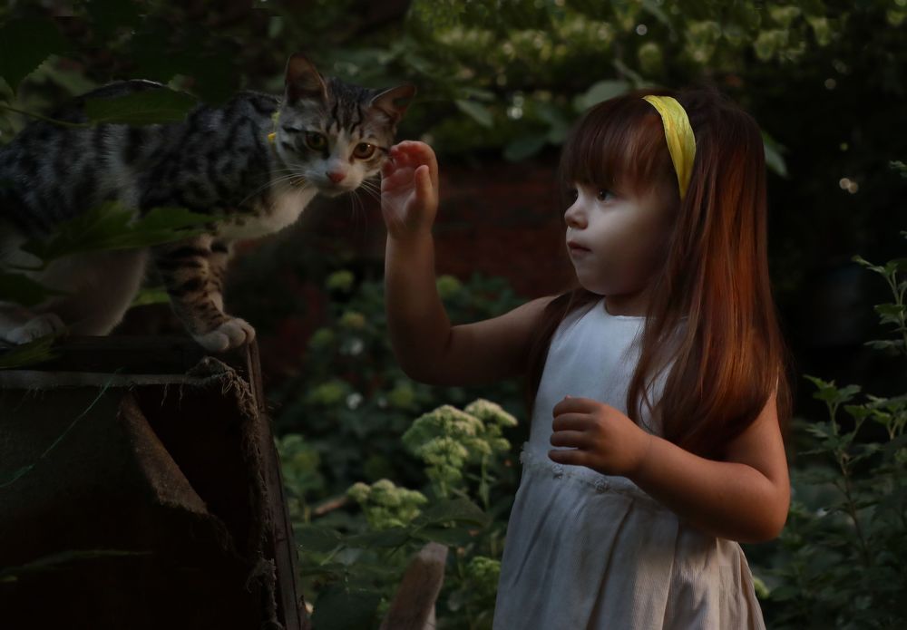 Photograph by Дарья Юсарева