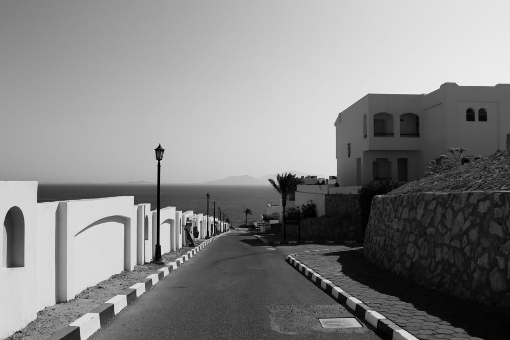 Фотография автора Adel elqamhawi Mohamed