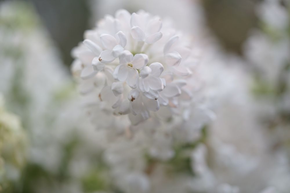 Photograph by Татьяна Дмитриева