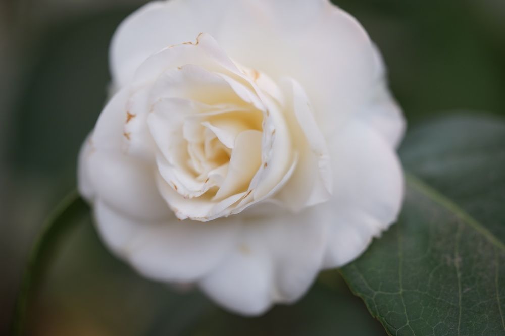 Photograph by Татьяна Дмитриева