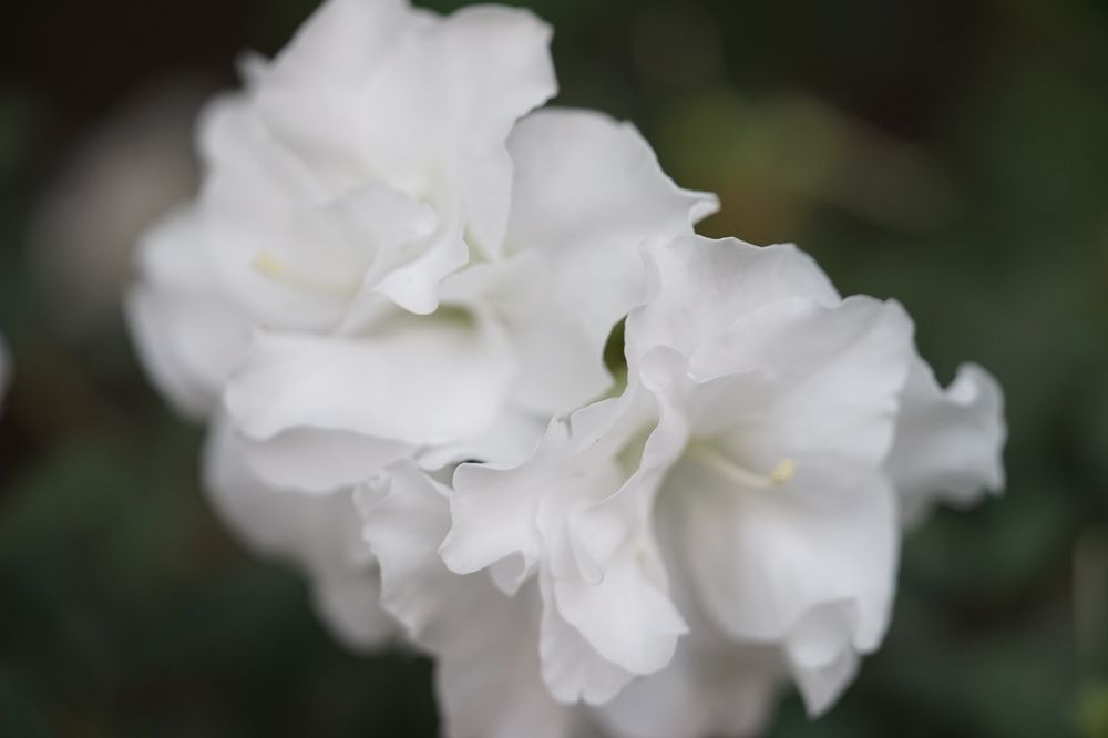 Photograph by Татьяна Дмитриева