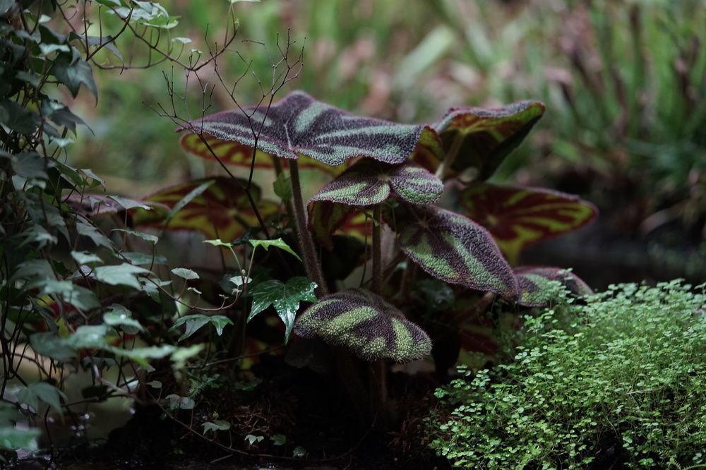 Photograph by Татьяна Дмитриева