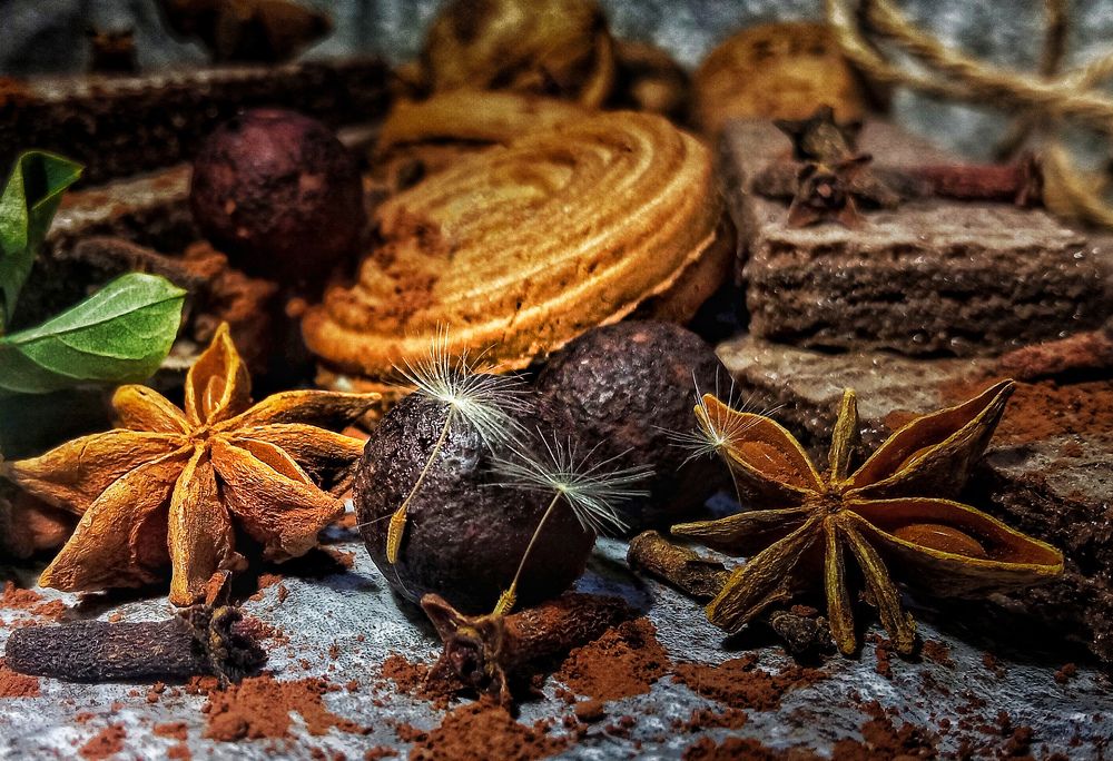 Photograph by Mahdi Mohammadi