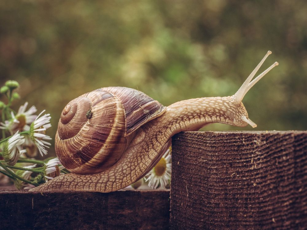 Photograph by Антон Данилов