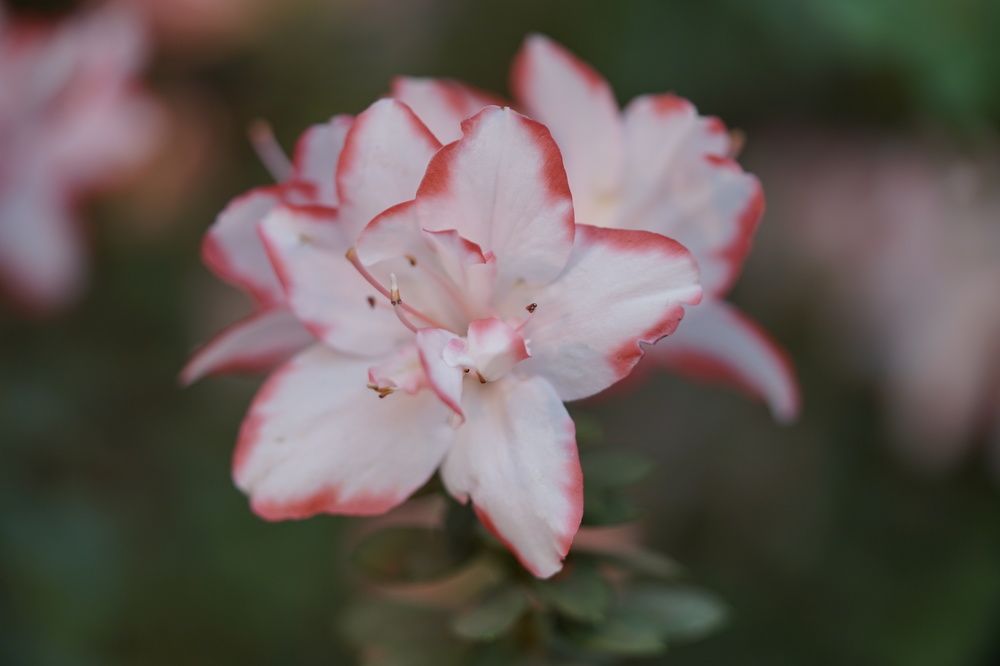 Photograph by Татьяна Дмитриева