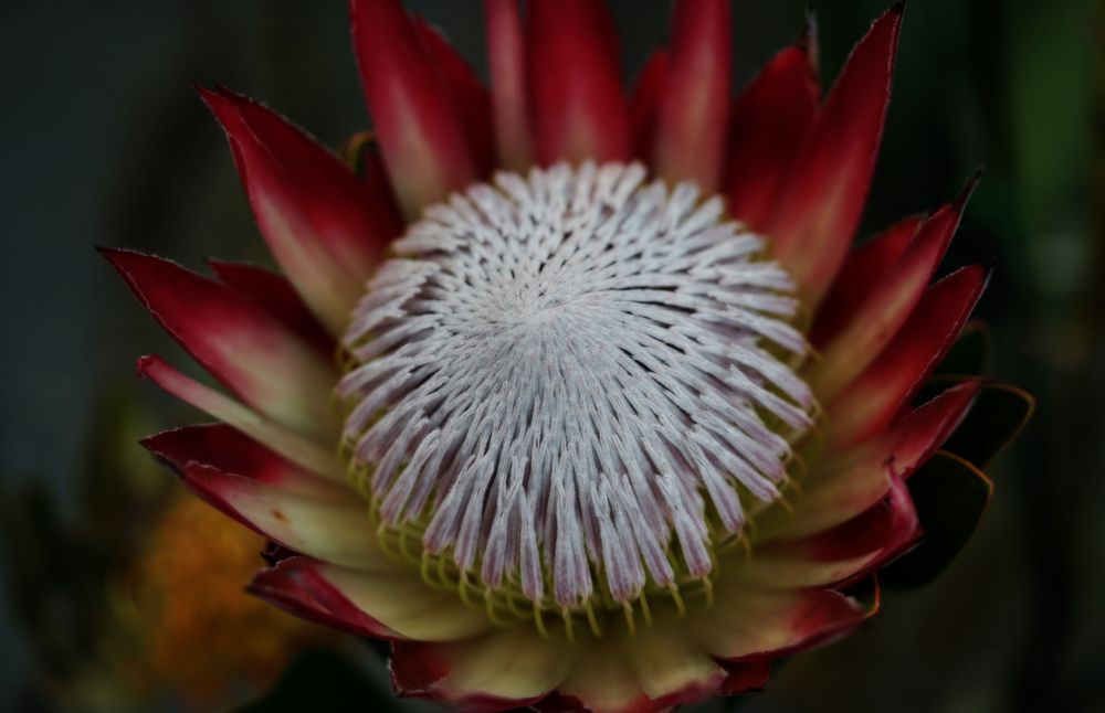 Photograph by Татьяна Дмитриева