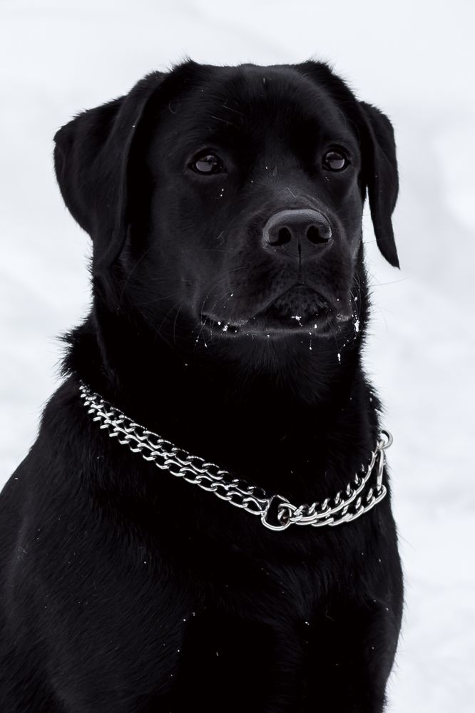 Photograph by Ольга Осинина