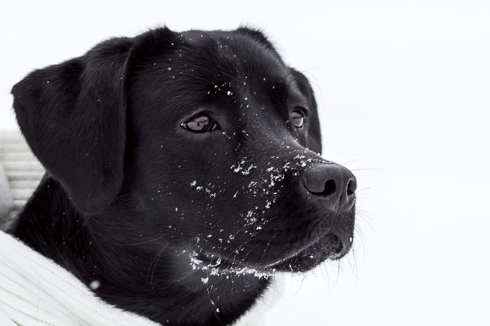 Photograph by Ольга Осинина