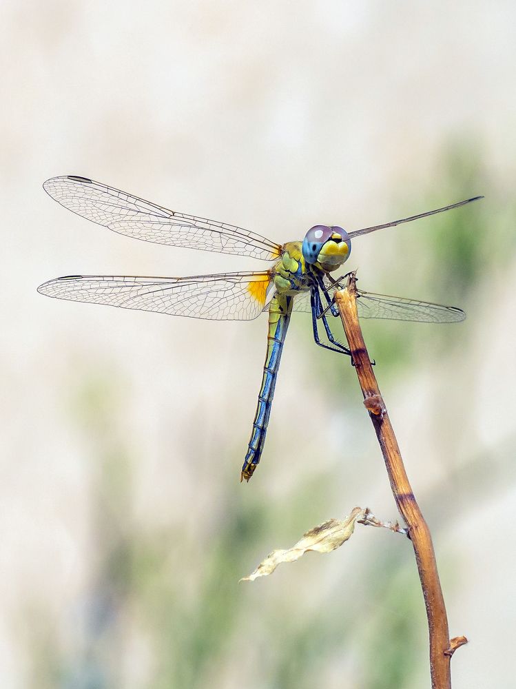 Photograph by Антон Данилов