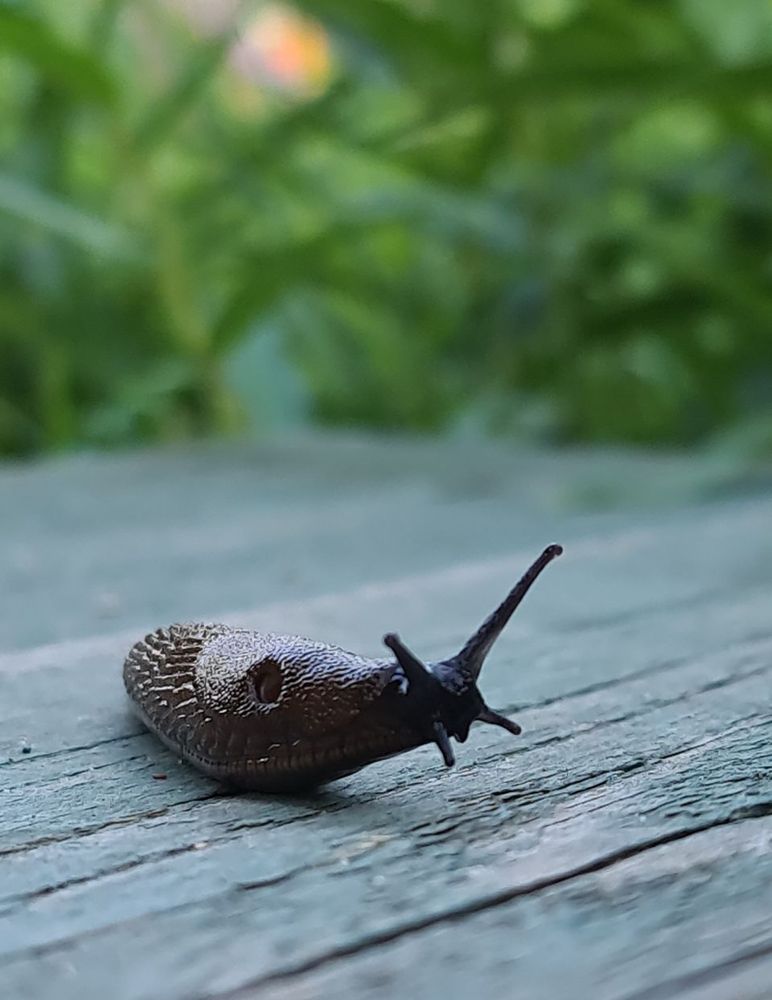 Photograph by Татьяна Дмитриева