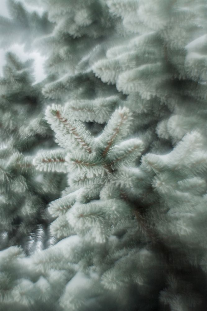 Фотография автора Максим Светличный