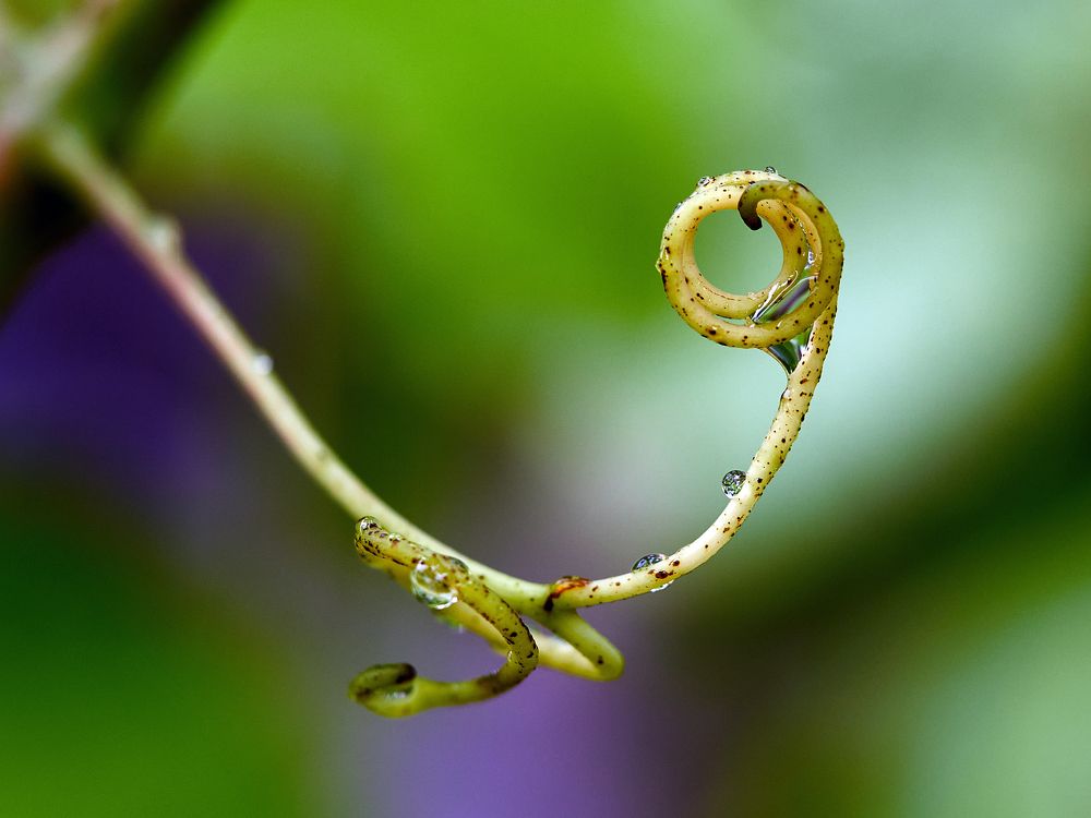 Photograph by Антон Данилов