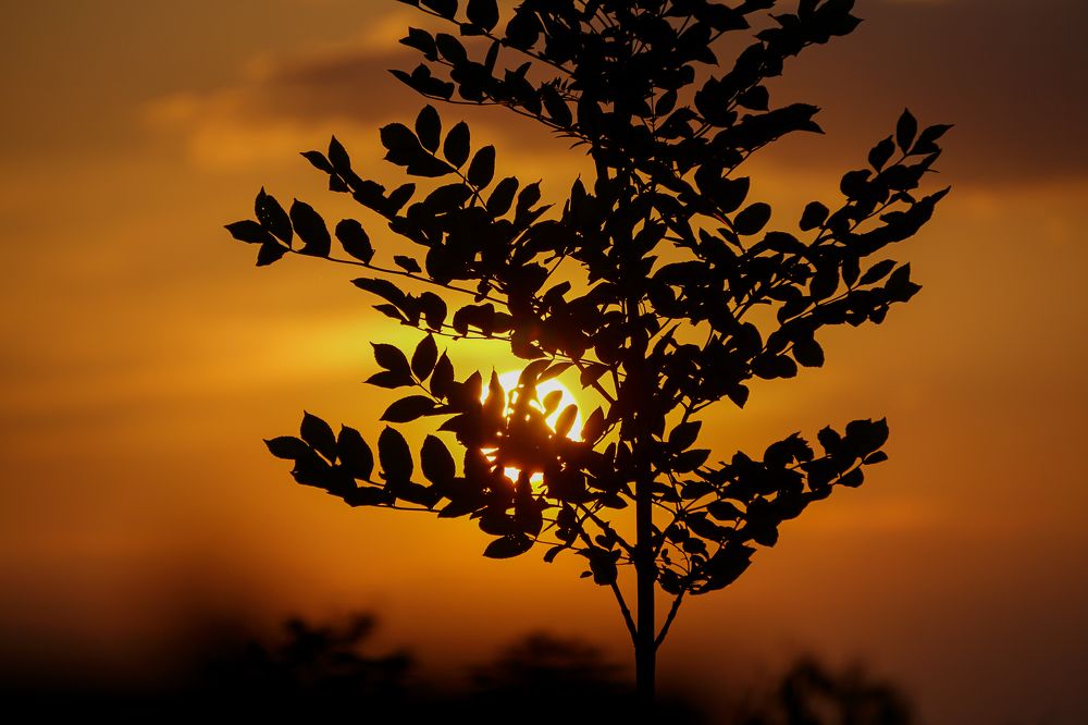 Photograph by George Catalin Serbu