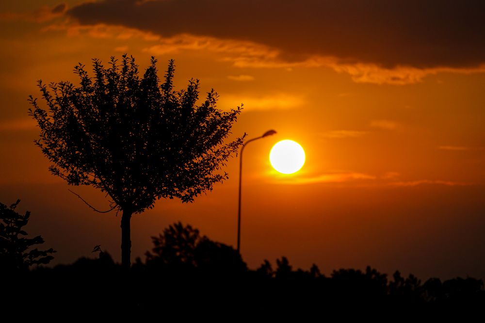 Photograph by George Catalin Serbu