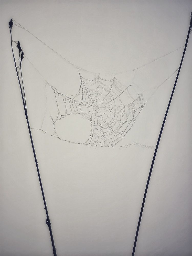 Фотография автора Максим Светличный