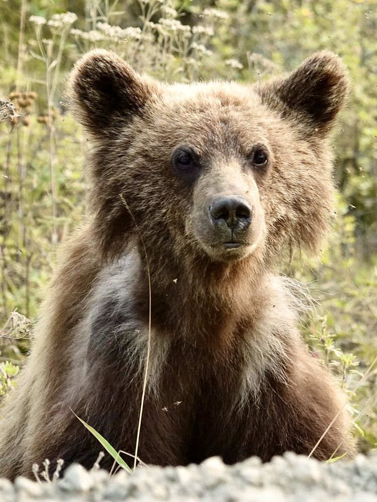 Photograph by Евгения Казакова