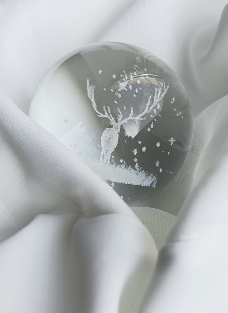 Photograph by Daria Kirina