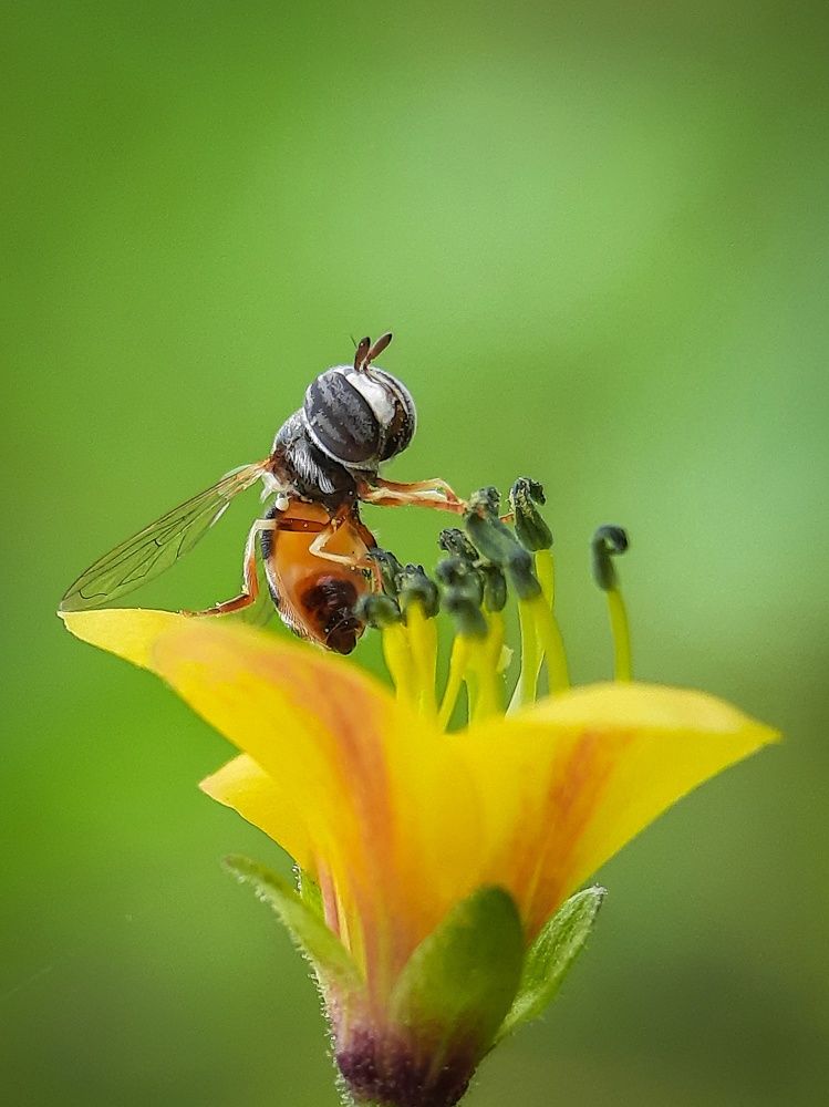 Photograph by Souradip Dey