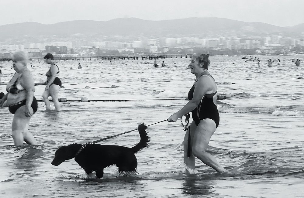Фотография автора Максим Светличный