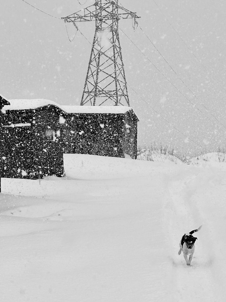 Photograph by Евгения Казакова