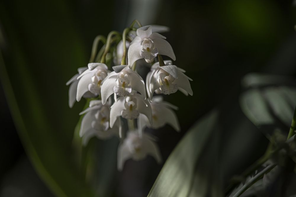 Photograph by Юлия Куликова