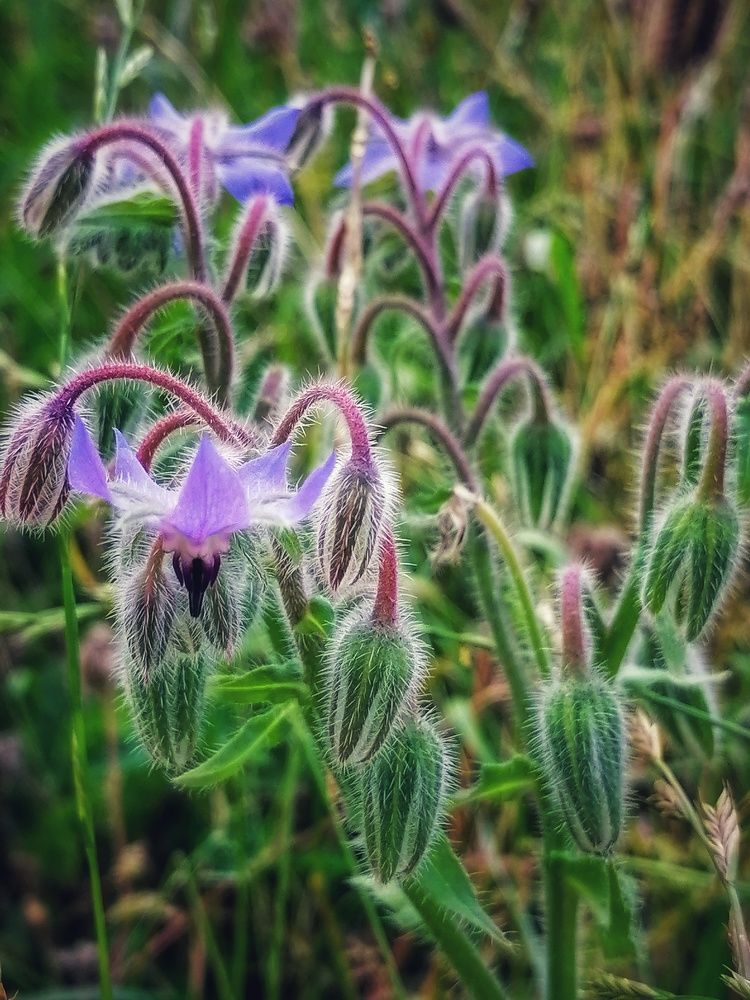 Photograph by Анжелика