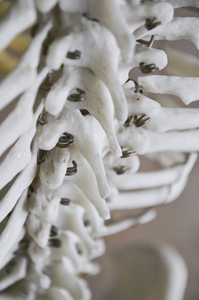 Photograph by Daria Kirina