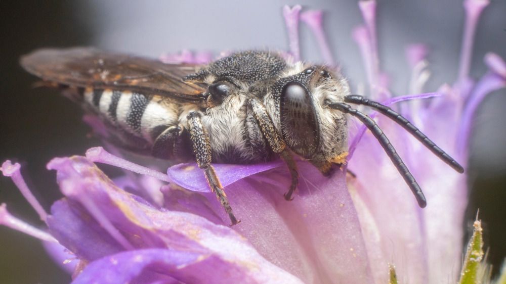 Photograph by Алексей Жариков