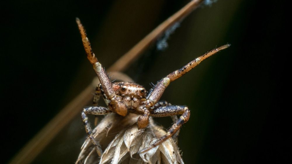 Photograph by Алексей Жариков