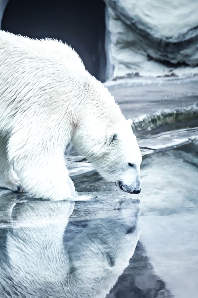 Photograph by Алексей Еремеев